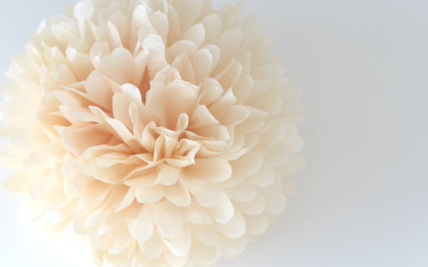 Beige tissue Paper pom pom party decorations Hand made Very Fluffy Neutral color Wedding birthday party baby shower sutainable decor