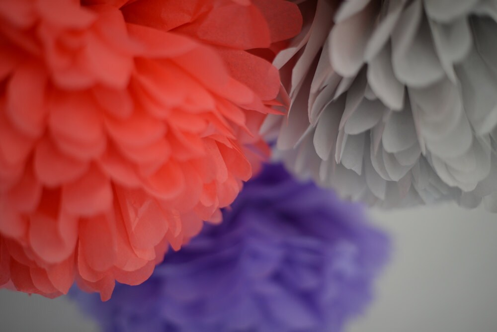 Large paper pom pom set of 24 | Tissue paper flowers | Wedding pom poms |