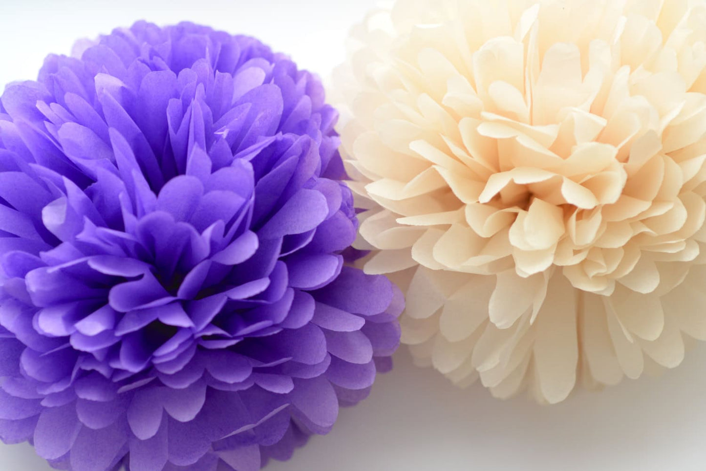 Large paper pom pom set of 24 | Tissue paper flowers | Wedding pom poms |