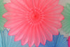 Bright colour Paper fan party decoration set - pink, blue and mint - backdrop - with tassel garland - optional - Decopompoms