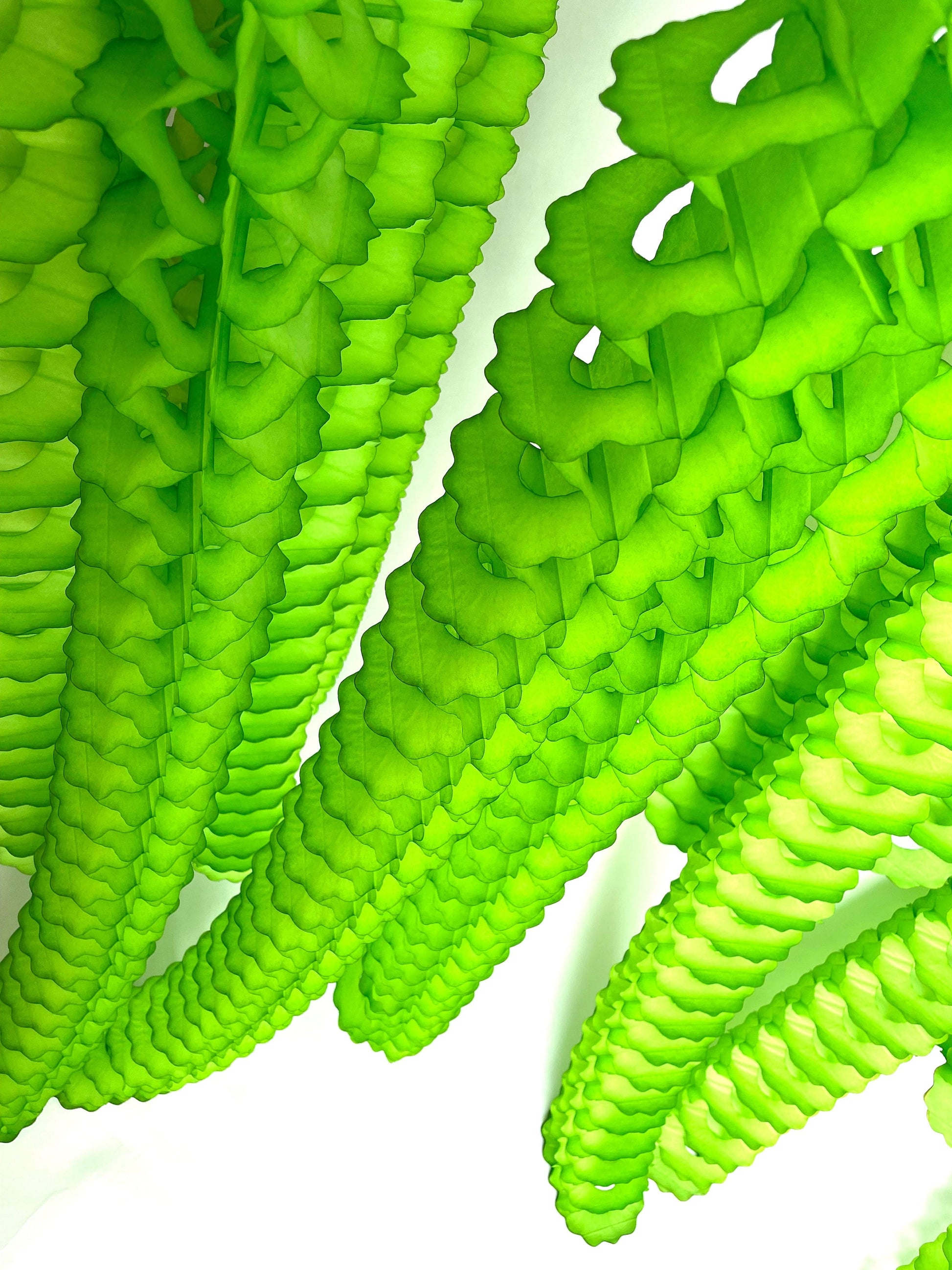 Classic Paper Garland - 360cm- set of 3 - Decopompoms