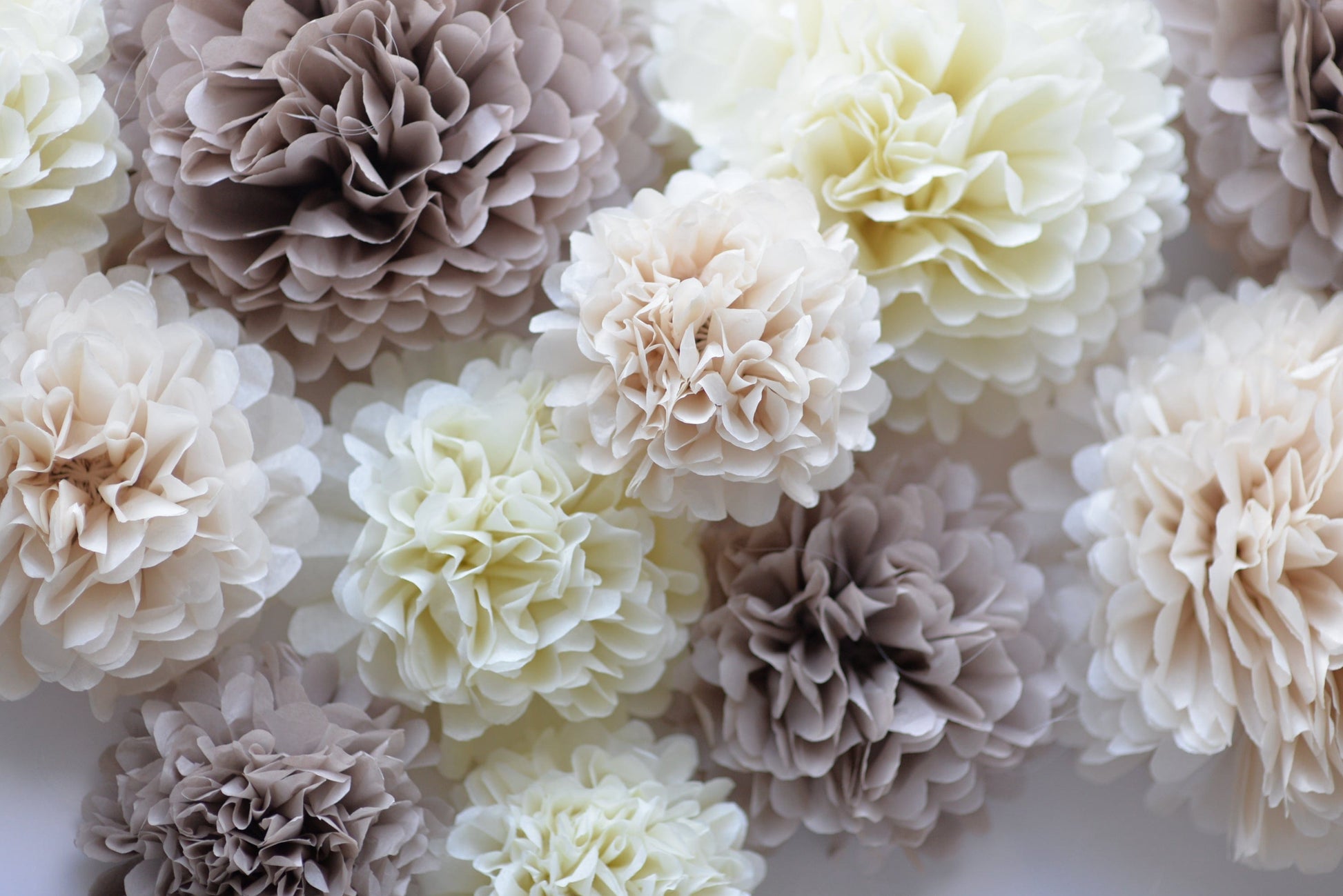 ALL NEUTRAL Tissue paper pom poms | beige ivory taupe Paper flowers - Decopompoms