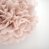 Dusty blush, champagne pom poms and honeycomb heart party set - Decopompoms