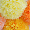 Sunrise yellow and orange pom poms party set - Decopompoms