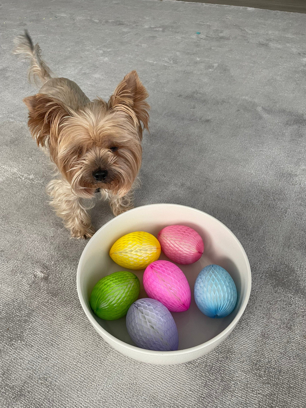 Easter Decorations- Easter eggs | Paper Easter egg decoration set | Colourful paper eggs - Decopompoms