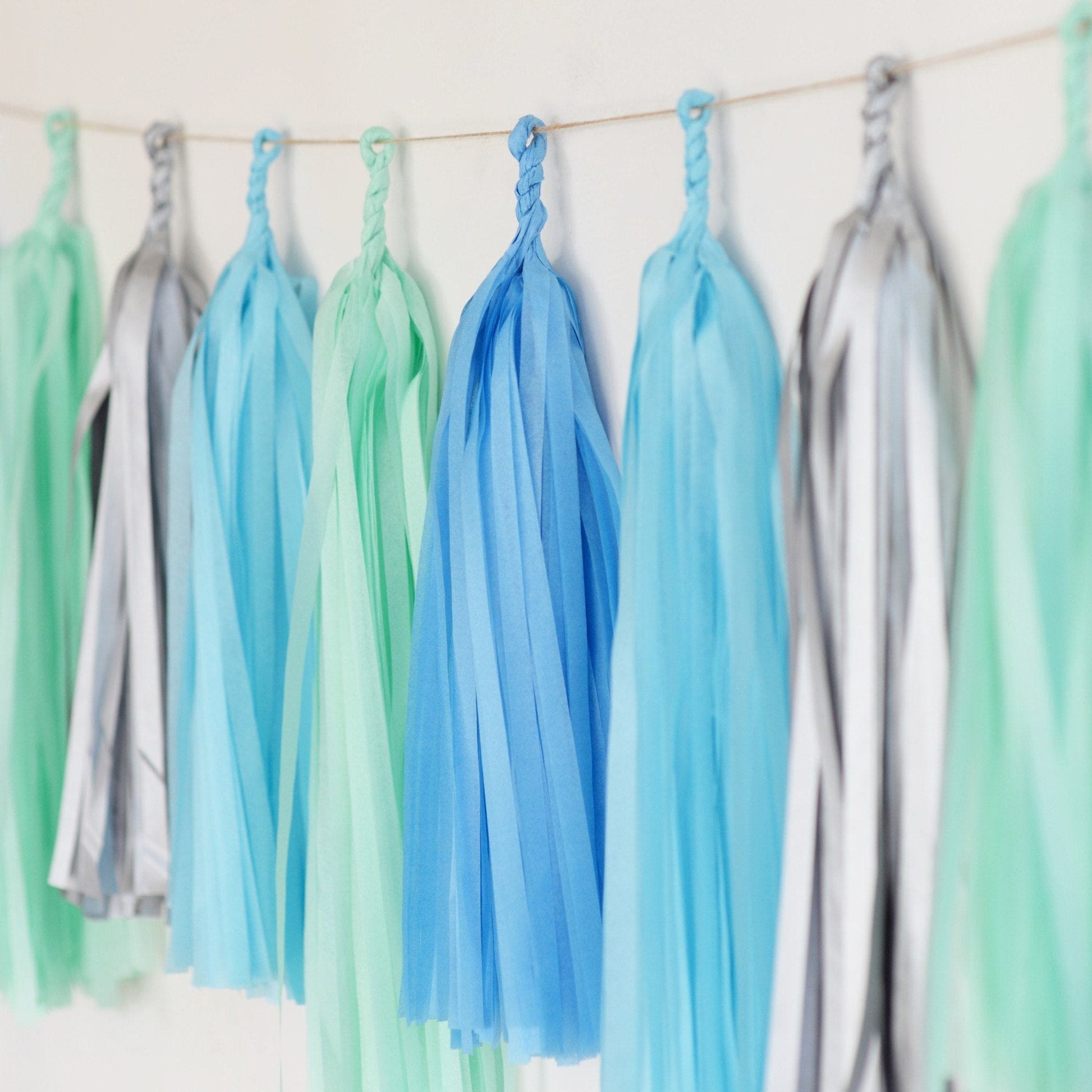 Frozen tassel garland - various lengths - Decopompoms