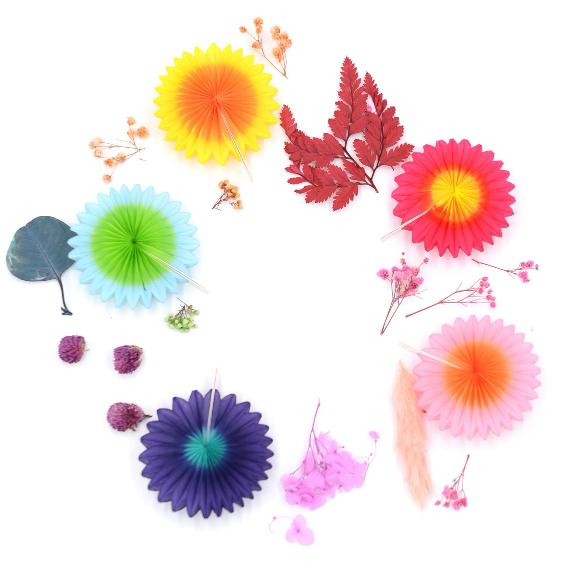 Mini paper fan set - Multi bright Color Party Decorations - Decopompoms
