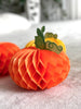 Paper honeycomb pumpkin set of 3 - beautiful Halloween - Fall decoration - Decopompoms