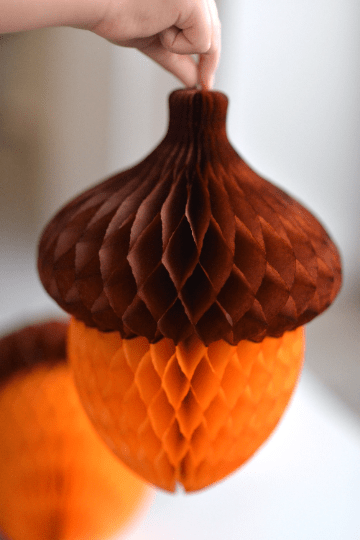 Paper honeycomb acorn - forest theme birthday decor - Decopompoms