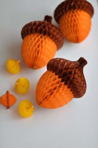 Paper honeycomb acorn - forest theme birthday decor - Decopompoms
