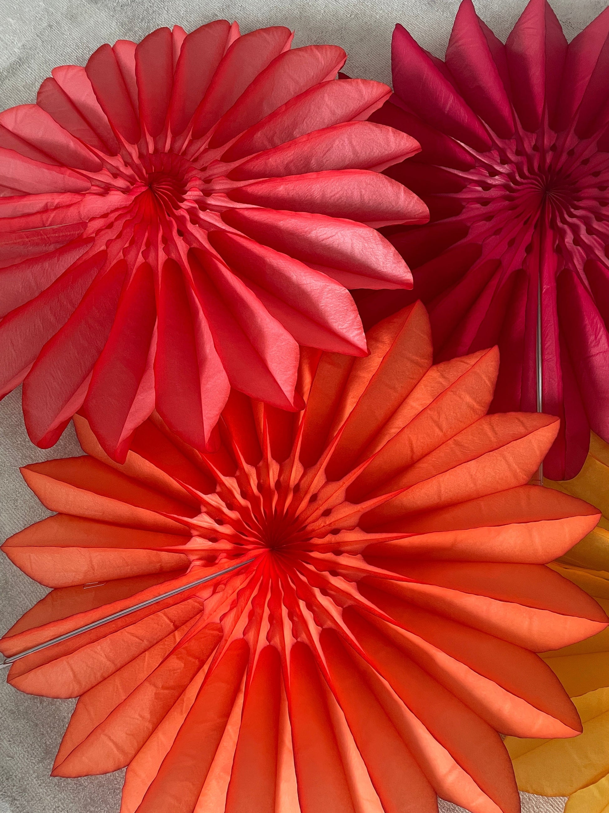 Paper fans - fall colours - party decoration set of 4 - orange yellow coral and deep red - 26" diamete - Decopompoms