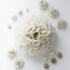 Almond milk tissue paper pom pom - Decopompoms