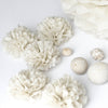 Almond milk tissue paper pom pom - Decopompoms