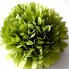 Aloe tissue paper pom pom - Decopompoms