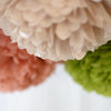 Aloe tissue paper pom pom - Decopompoms