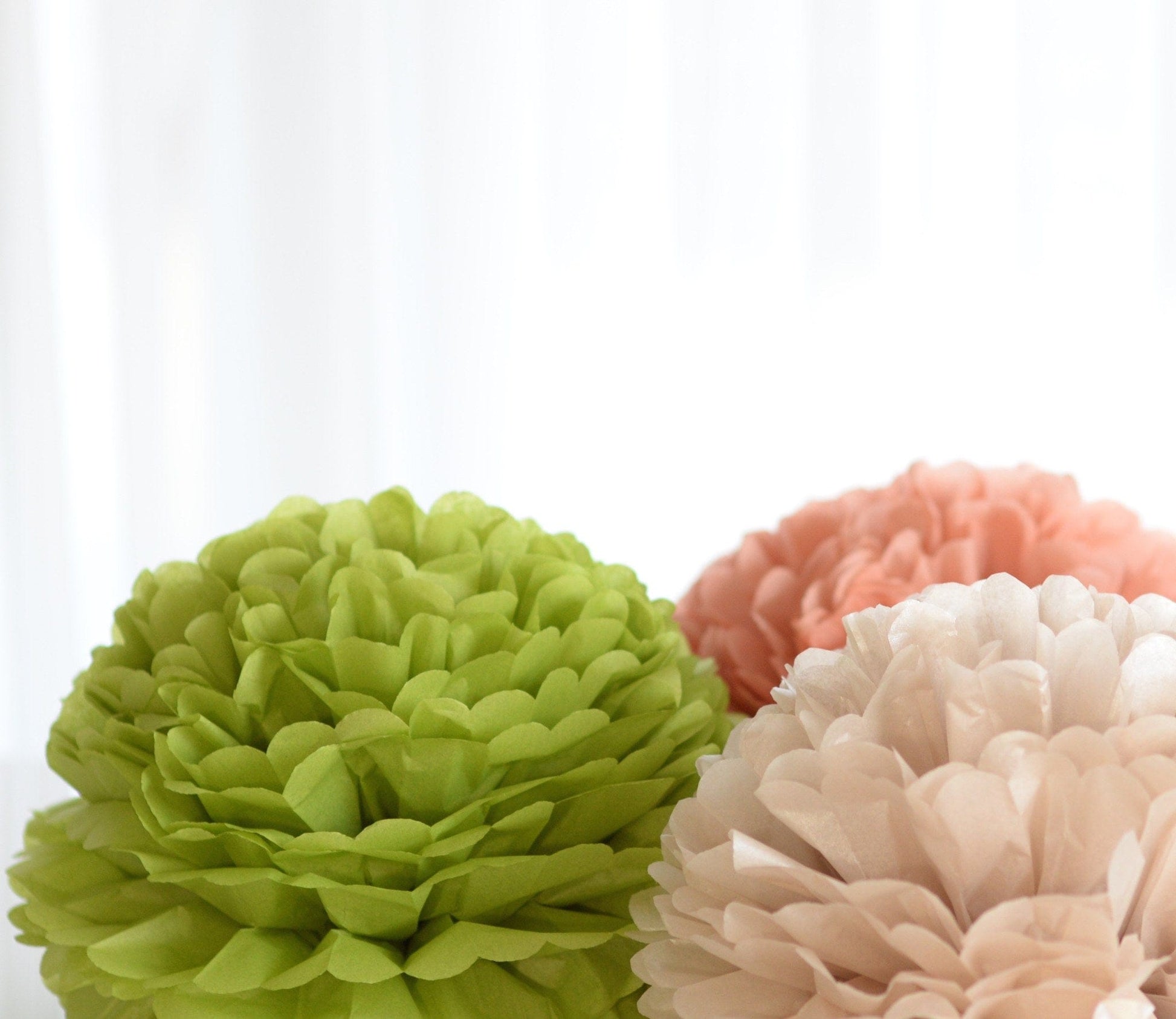 Aloe tissue paper pom pom - Decopompoms