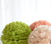 Aloe tissue paper pom pom - Decopompoms