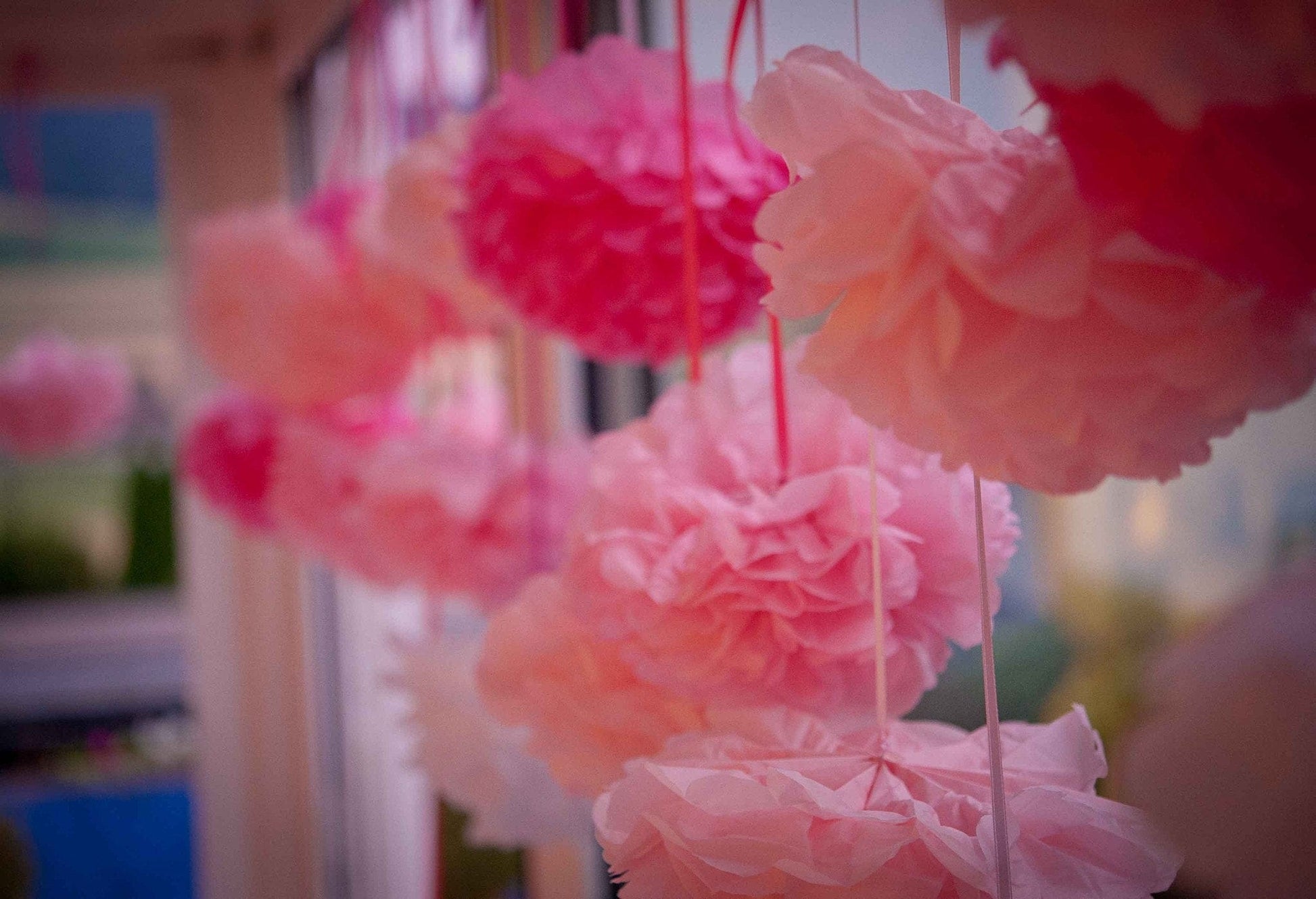 Baby pink tissue paper pom pom - Decopompoms