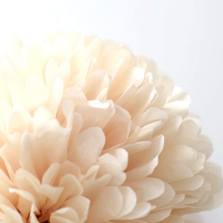 Beige tissue paper pom pom - Decopompoms