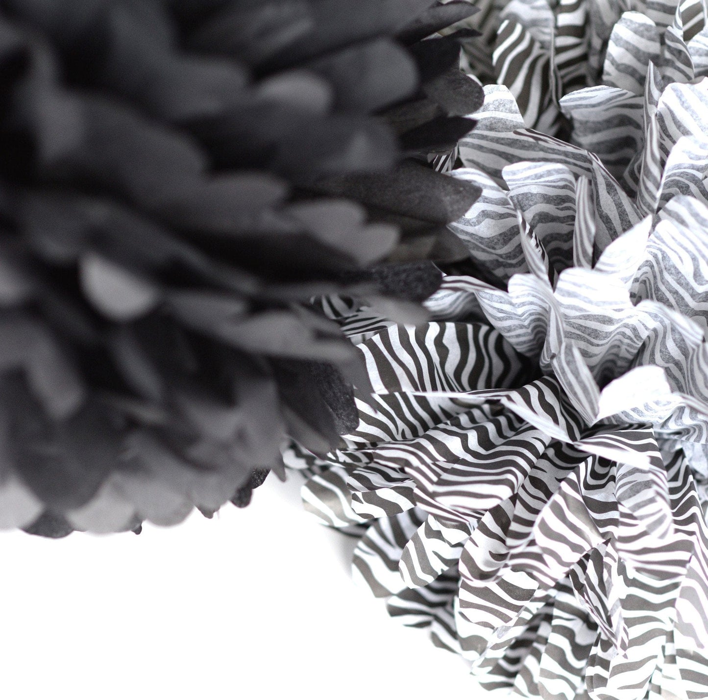 Black tissue paper pom pom - Decopompoms