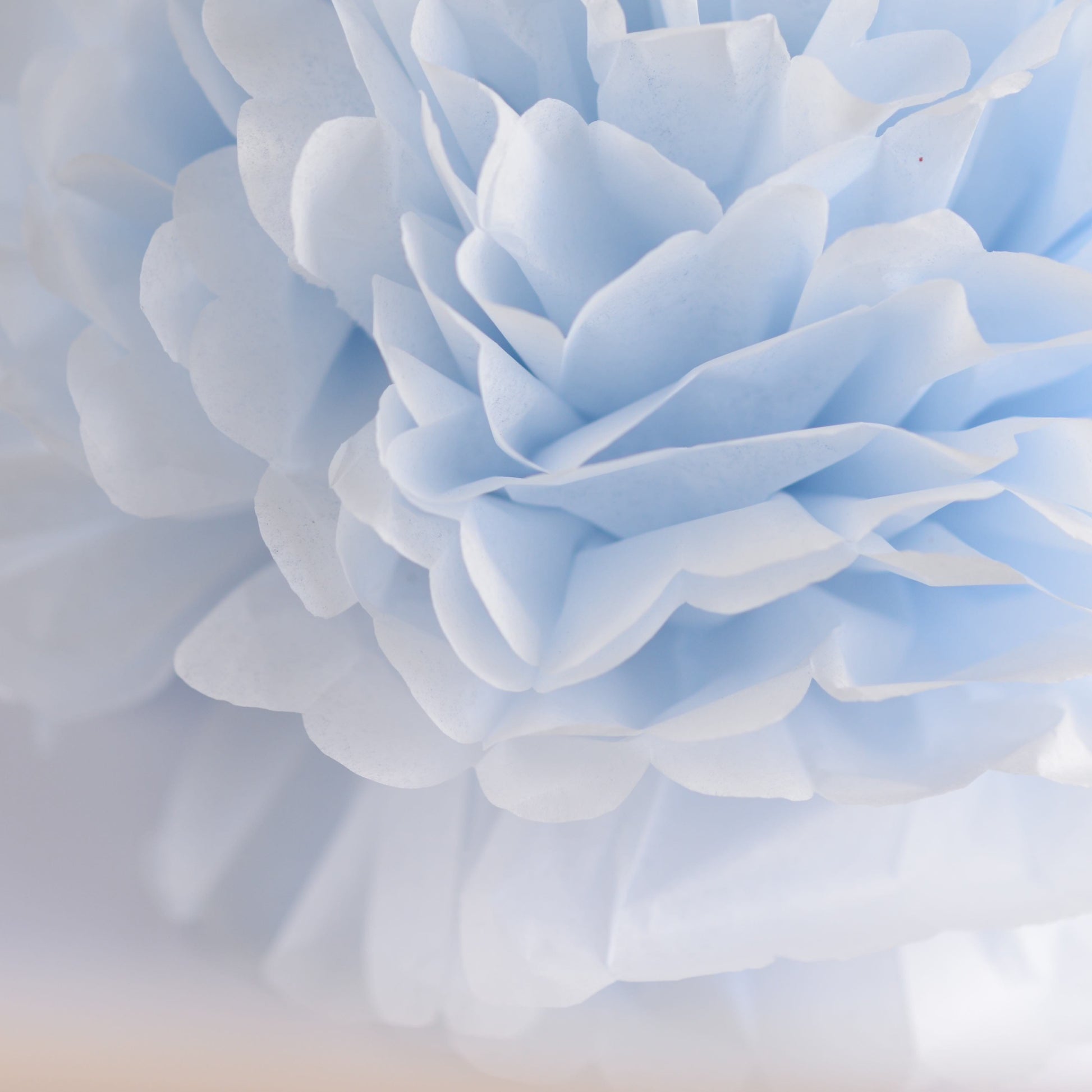 Breeze blue tissue paper pom pom - Decopompoms