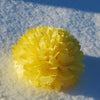 Buttercup tissue paper pom pom - Decopompoms