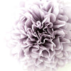 Dusty purple tissue paper pom pom - Decopompoms