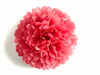 Island pink paper pom pom - Decopompoms