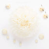 Ivory / cream tissue paper pom pom - Decopompoms