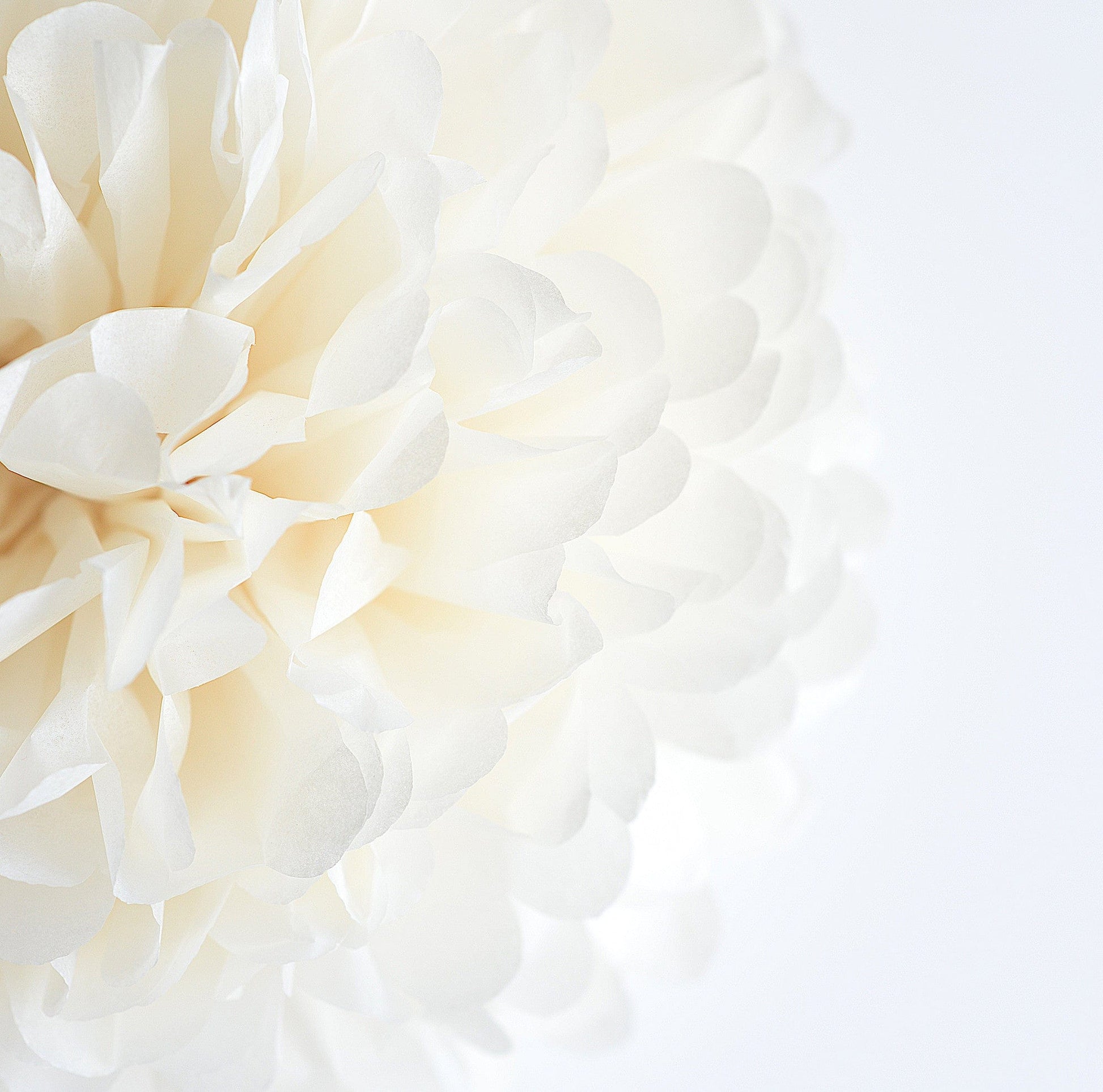 Ivory / cream tissue paper pom pom - Decopompoms