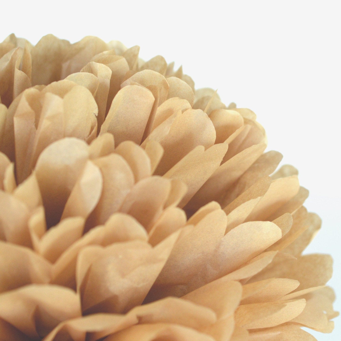 Kraft tissue paper pom pom - Decopompoms