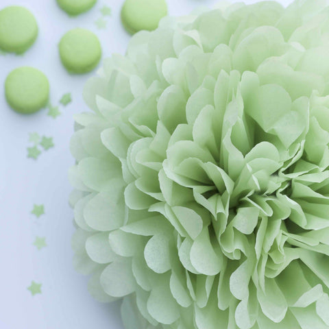Celebrate Next Sage Green and White Gift Wrap Pom Pom Tissue Paper Mix with 12 to from Gift Tags