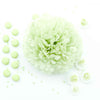 Large Light green green tissue paper pom pom - Decopompoms