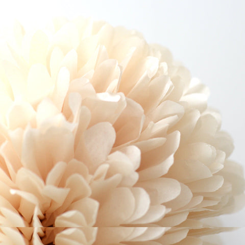 pom Large size Beige  tissue paper pom pom decopompoms