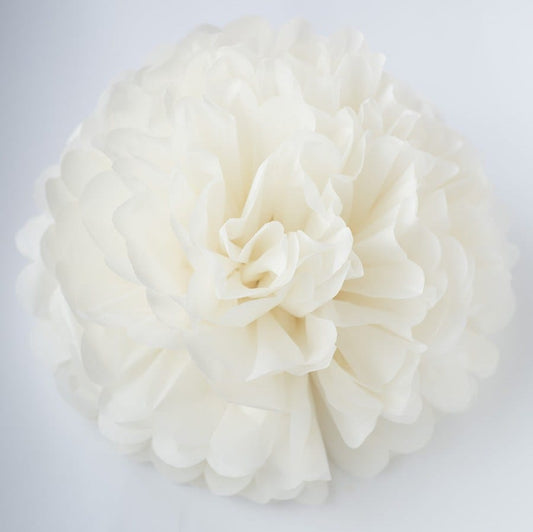 Large size Ivory tissue paper pom pom - Decopompoms