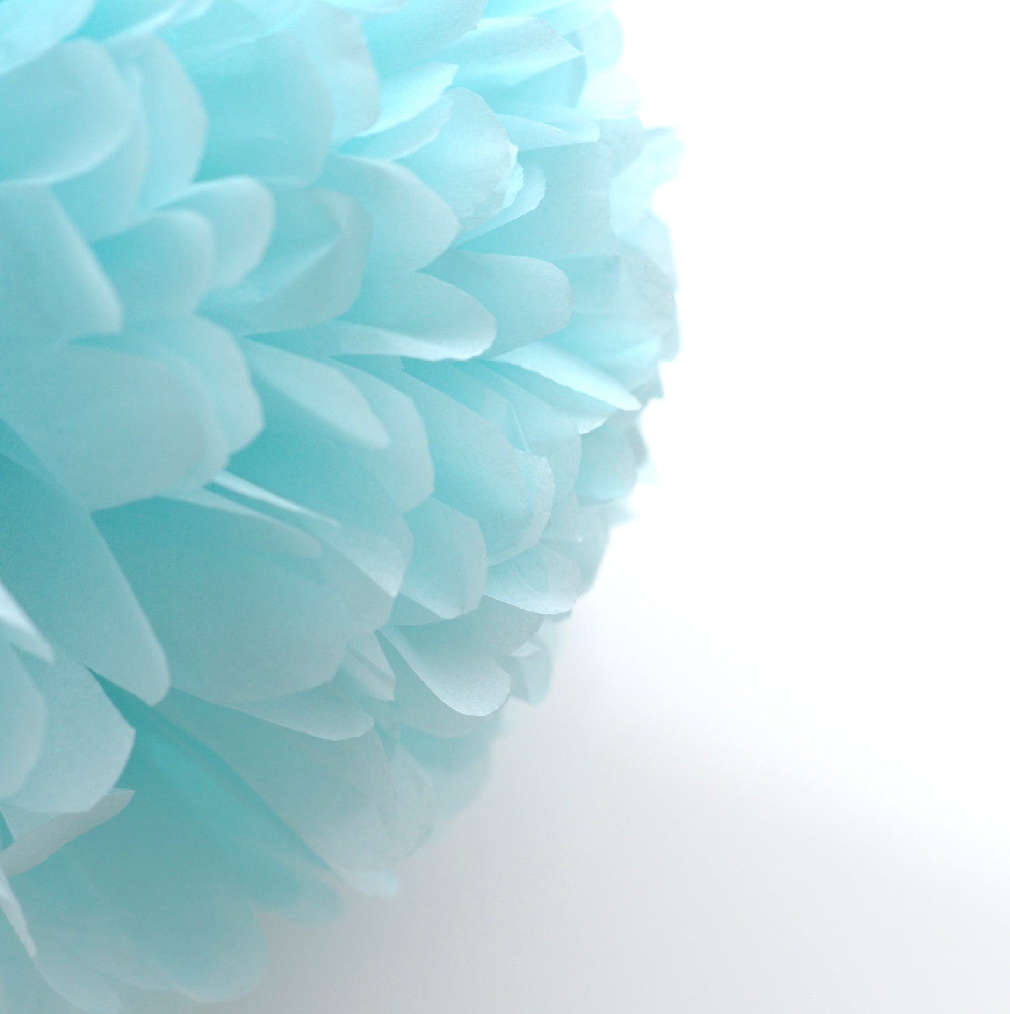 pom Large size Light blue tissue paper pom pom decopompoms
