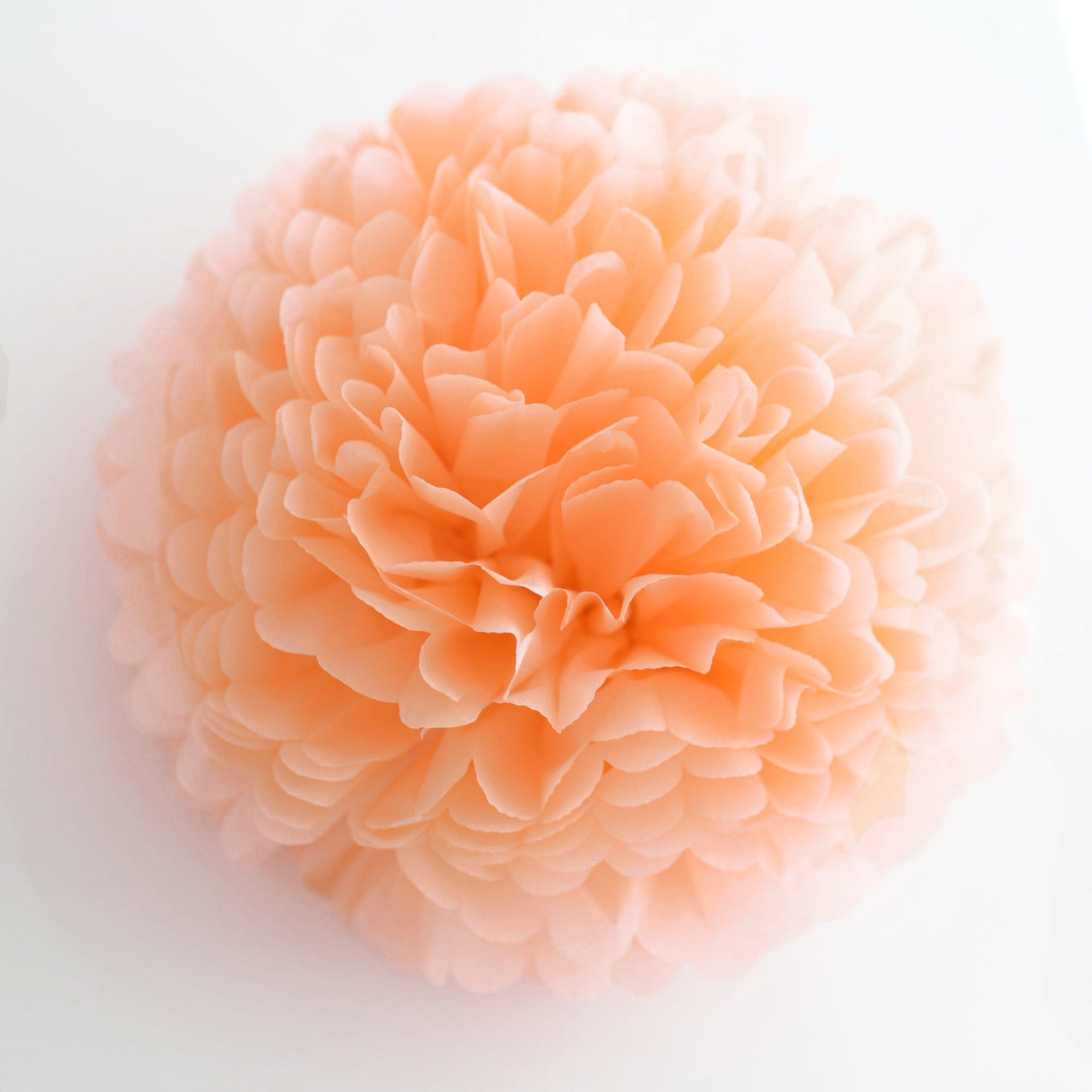Large size Peach tissue paper pom pom - Decopompoms