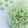 Mini 15cm Light green green tissue paper pom pom - Decopompoms