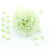 Mini 15cm Light green green tissue paper pom pom - Decopompoms