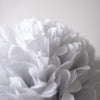 Mountain mist tissue paper pom pom - Decopompoms