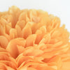 Mustard tissue paper pom pom - Decopompoms