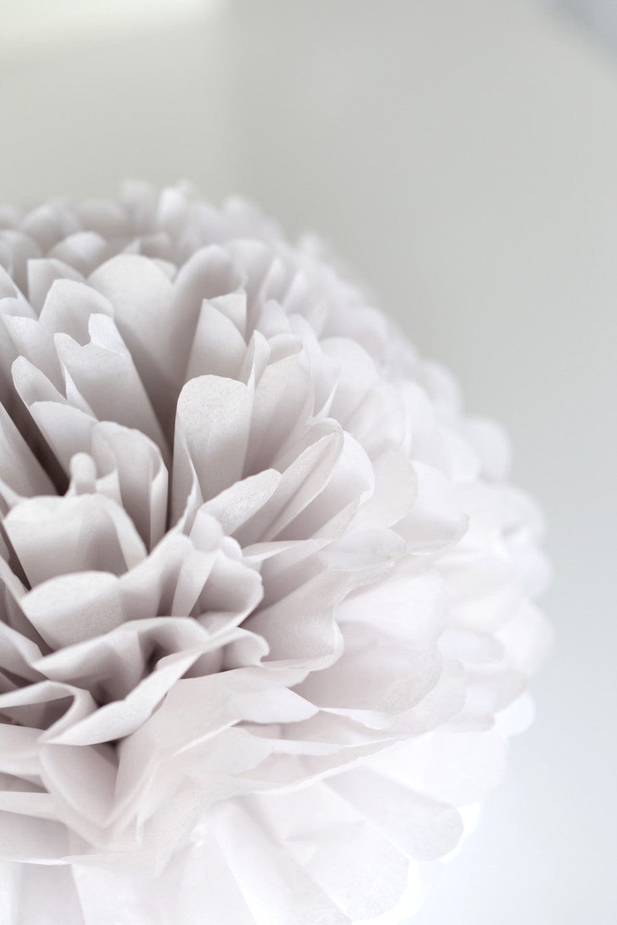 pom Oyster cream tissue paper pom pom decopompoms