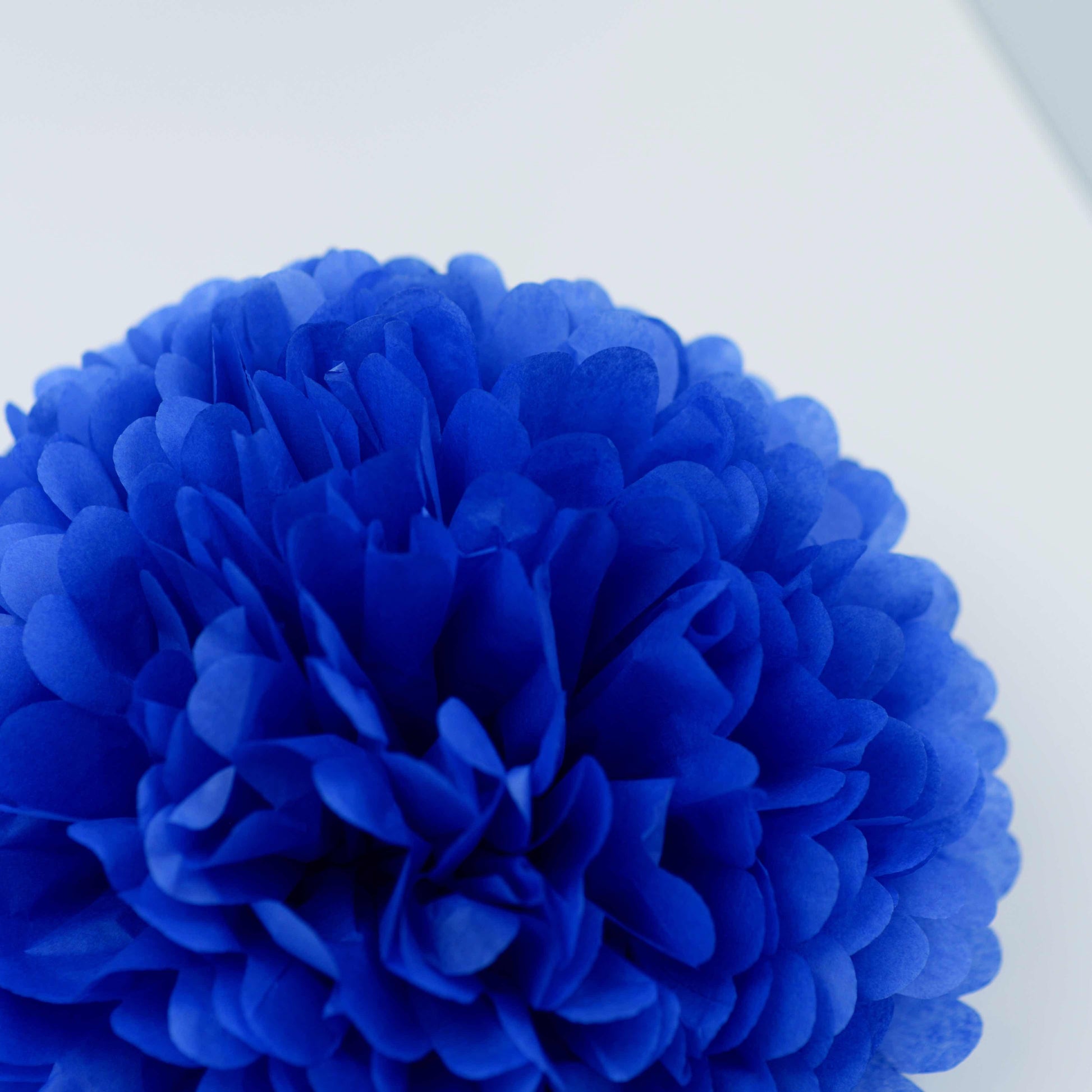 Parade / royal blue tissue paper pom pom - Decopompoms