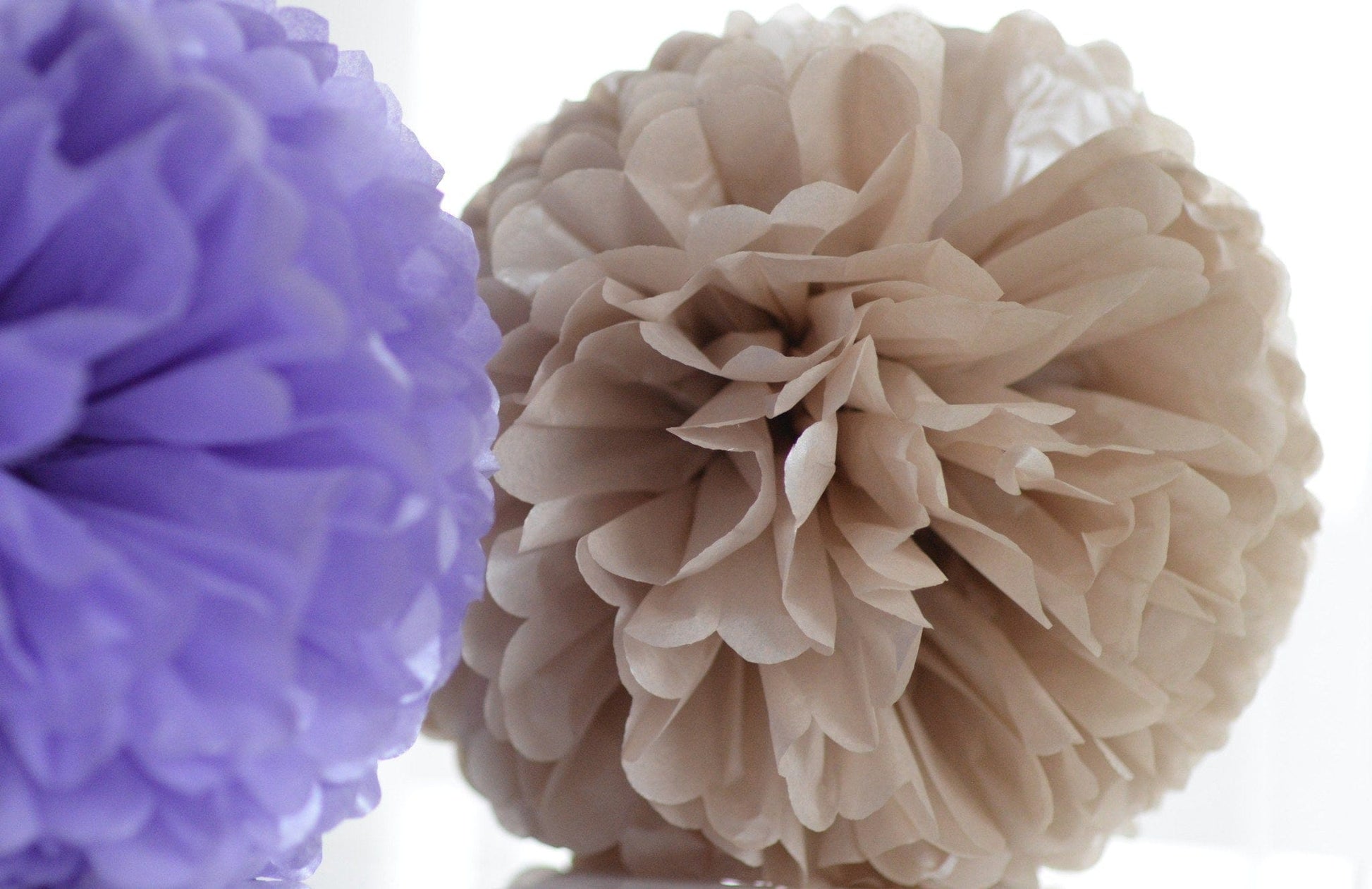 Pearlesence Champagne pom pom - Decopompoms