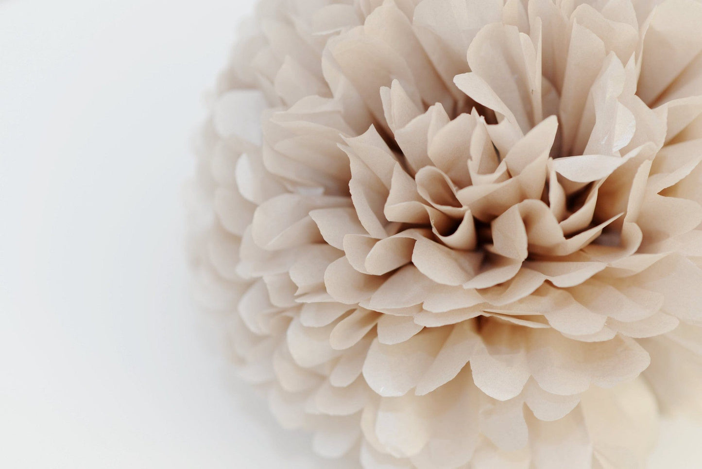 Pearlesence Champagne pom pom - Decopompoms