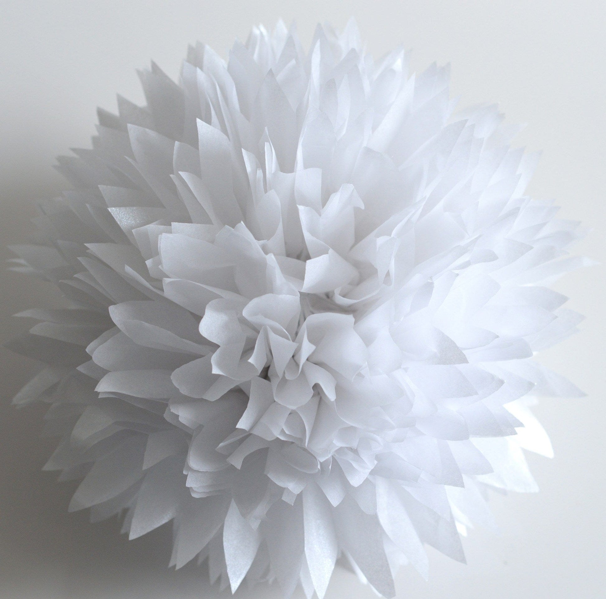 Shimmery Pearl white paper pom poms - Decopompoms