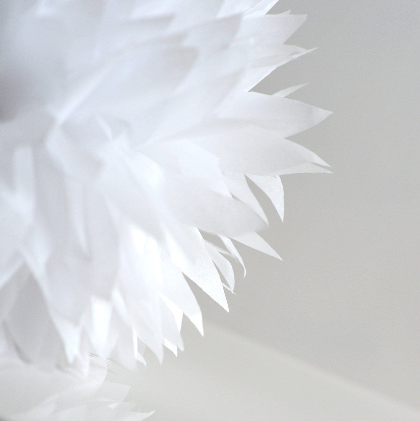 Shimmery Pearl white paper pom poms - Decopompoms