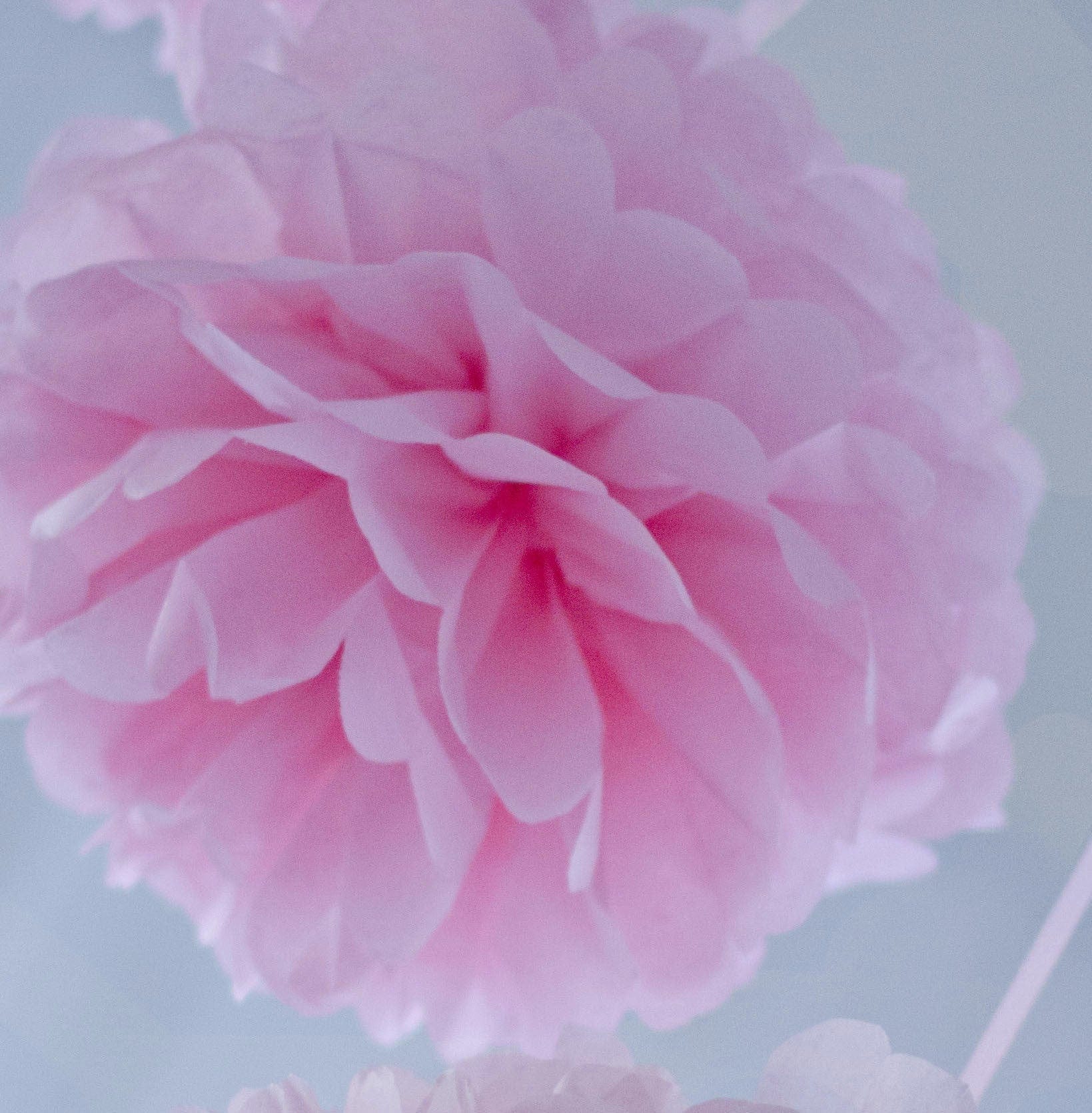 Small size 21 cm / 8 inch pom poms value set - Decopompoms