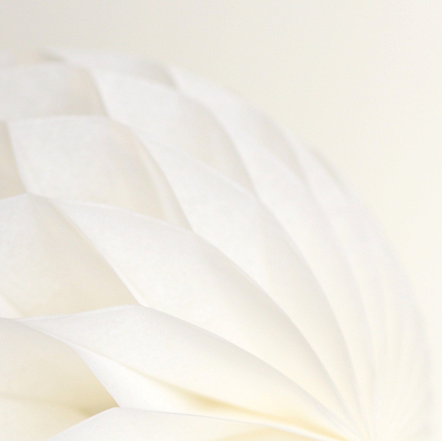 Ivory paper honeycomb - hanging party decorations - Decopompoms