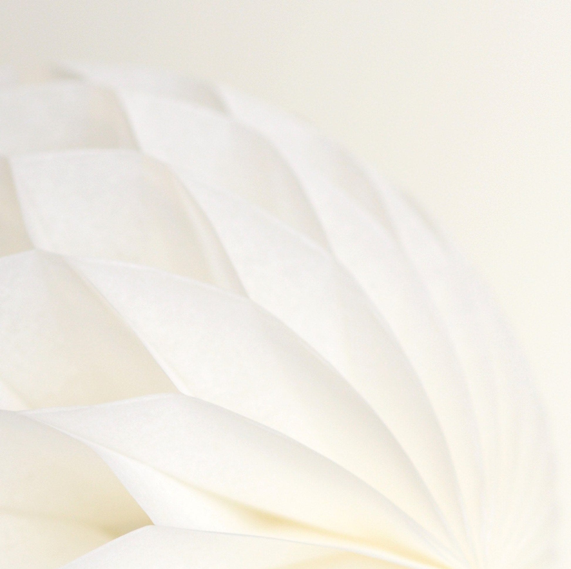 Ivory paper honeycomb - hanging party decorations - Decopompoms